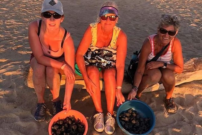 Amazing Turtle Release Tour - Inclusions