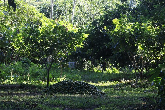 Amazon Shelter And Local Farm - Transportation and Pickup