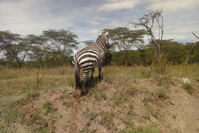 Amboseli Day Trip From Nairobi - Pickup and Departure Details
