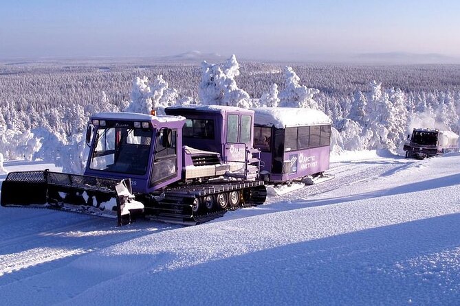 Amethyst Mine at Pyhä-Luosto National Park in Lapland - Tour Details and Inclusions