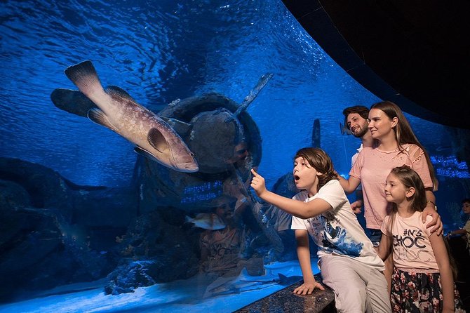 Antalya Aquarium Tour Platinium Tour - Itinerary Details