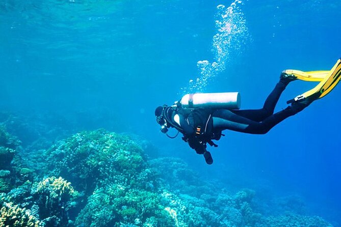 Antalya Scuba Diving With Transfer Review - Health and Safety Requirements