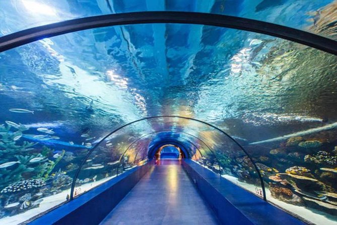 Antalya Tunnel Aquarium - Departure From Side - Inclusions and Highlights