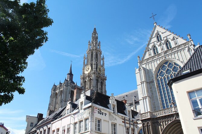Antwerp Private Walking Tour With A Professional Guide - Personalized and Flexible Experience