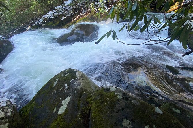 Appalachian Waterfalls Hike - Guided Hike Overview