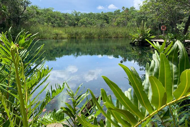 AQUA WONDER (Half-Day Aquatic Tour in Tulum With Snorkeling and Meals) - Transportation Details