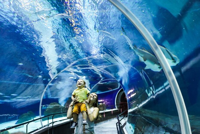 AquaRio, Museum, Boulevard Olimpico, Ferris Wheel, Transport and Tourism Guide. - Tour Logistics