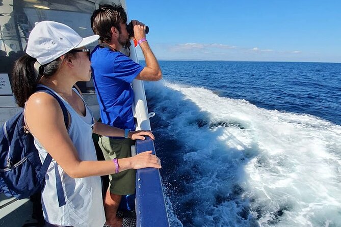Aran Islands & Cliffs of Moher Cruise Full Day Tour From Galway - Itinerary Highlights