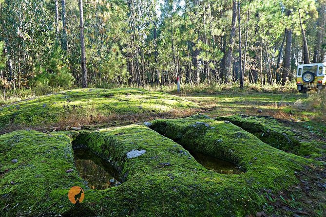 Archaeological Circuit of Fiais/Azenha and Cova Da Moira - Transportation and Pickup Options