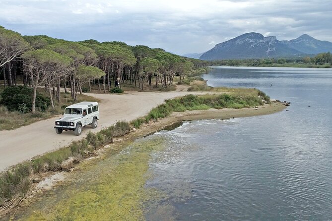 Archeology, Visit to a Vineyard and Wine and Pecorino Cheese Tasting - Wetlands and Wading Birds
