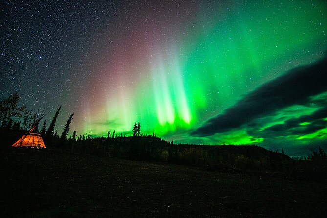 Arctic Day: Aurora Viewing Tour | Late Night - Inclusions