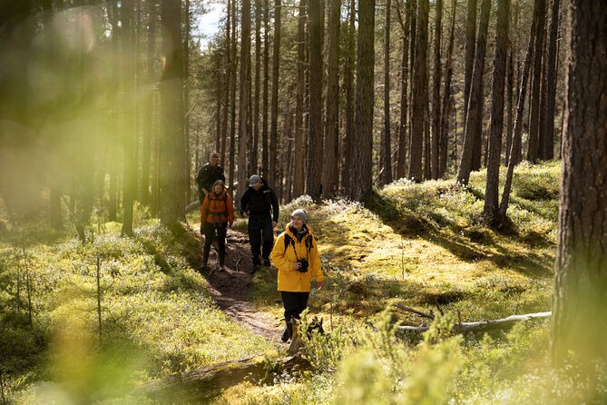Arctic Hiking With Lappish Dogs - Exploring the Lappish Landscape