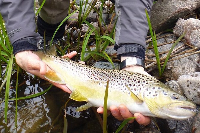 Arctic River Fishing Tour - Inclusions and Amenities
