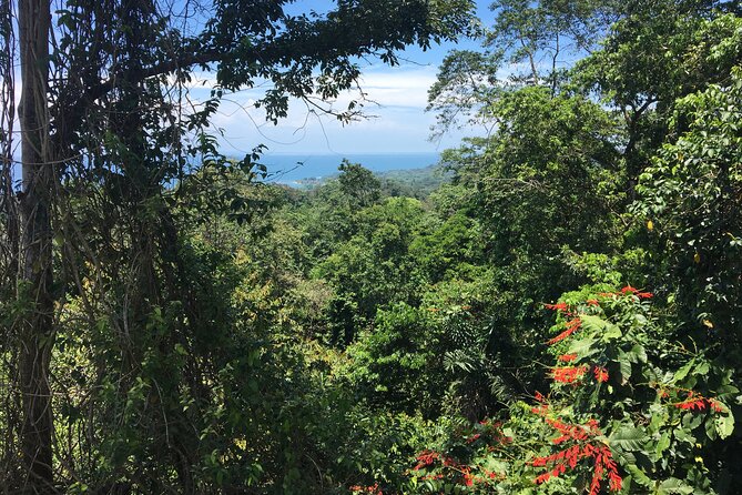 Arenal Hanging Bridges With Hotsprings, Lunch and Dinner - Transportation and Pickup Details