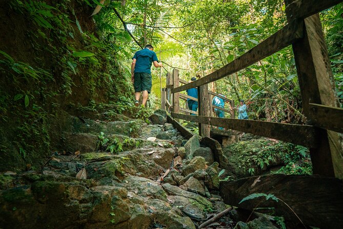 Arenal Natural Hiking Trails - Recommended Attire and Gear