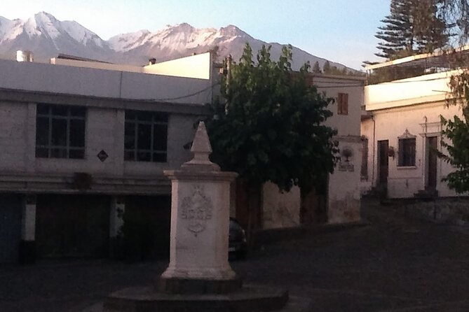 Arequipa Walking Tour and Santa Catalina Monastery - Taking in the Santa Catalina Monastery