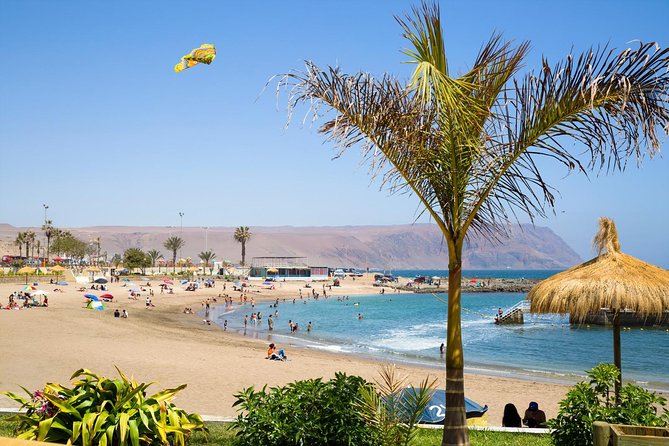 Arica: Half Day Panoramic City Tour - Tour Inclusions