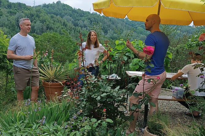 Art Classes in Monferrato Hills - Meeting and Pickup