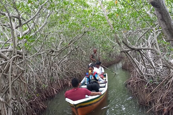 Artisanal Canoe Tour in the Mangrove With Afro-Caribbean Dance - Artisanal Canoe Experience