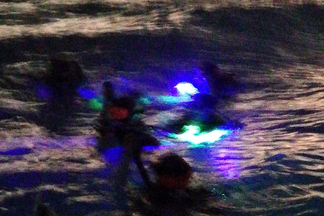 Aruba 1-Tank Guided UV Night Dive for Certified Divers With Own Equipment - Inclusions in the Activity