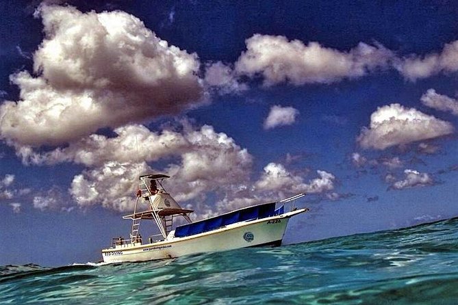 Aruba 1-Tank Night Dive for Certified Divers With Own Equipment - Health and Safety Requirements