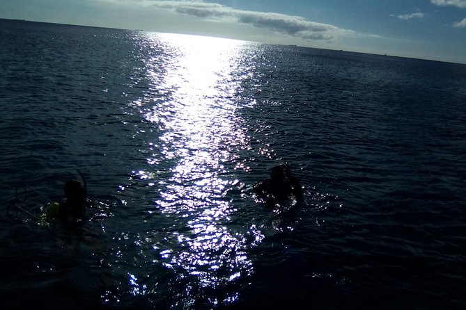Aruba 1-Tank Night Dive With Rental Gear for Certified Divers - Equipment and Inclusions