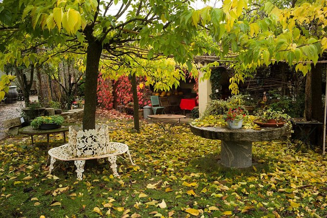 Assisi, Deruta & Organic Gourmet Lunch at the Olive Oil Farmhouse From SIENA - Highlights of the Experience