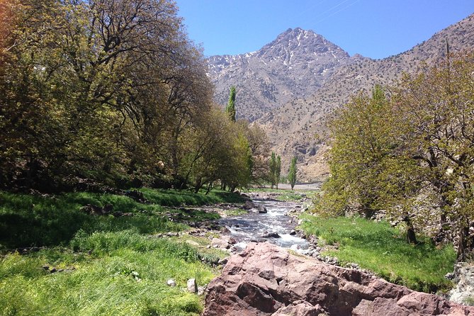 Atlas Mountains, Waterfalls and Berber Villages With a Guide - Visiting an Argan Oil Producer