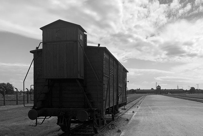 Auschwitz-Birkenau Guided Tour From Krakow - Private Car - Traveler Feedback