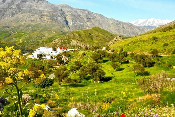 Authentic Crete Heart of the Island - Discovering Eleftherna