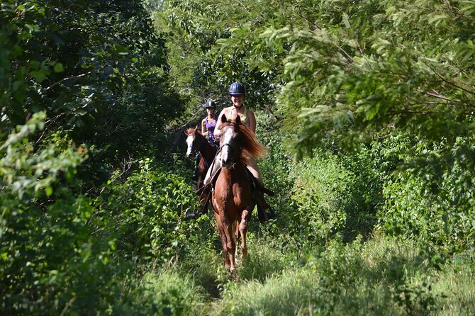 Award-winning Private Classic Horseback Ride - Safety and Comfort