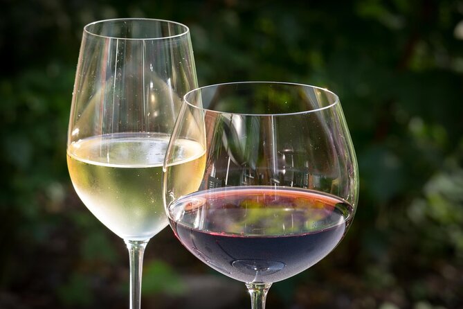 BA: Premium Argentinian Wines and Malbec Tasting in Palermo - The Wine Tasting Menu