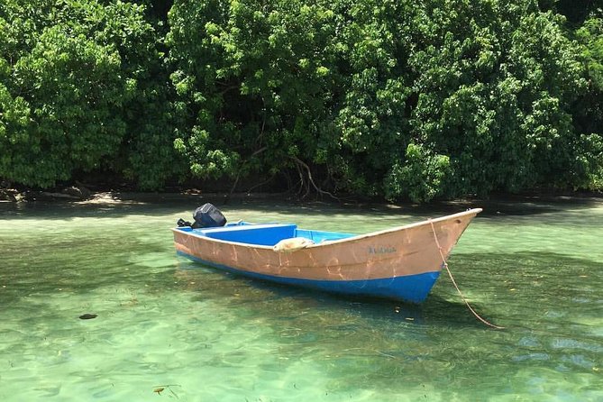 Bacardi Island (Cayo Levantado) Day Pass - Accessibility Details