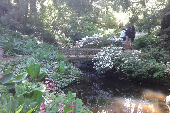 Bainbridge Island Nature Reserve Walk Review - Pickup and Transport