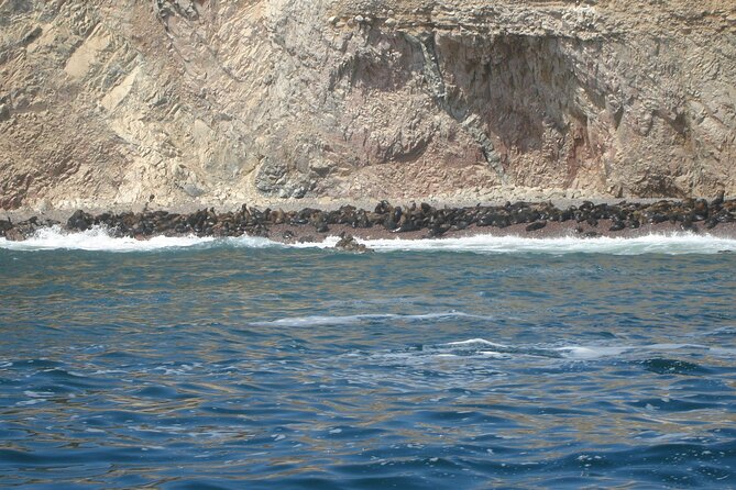 Ballestas Islands and Paracas Reserve Tour From San Martín Cruise - Health and Safety