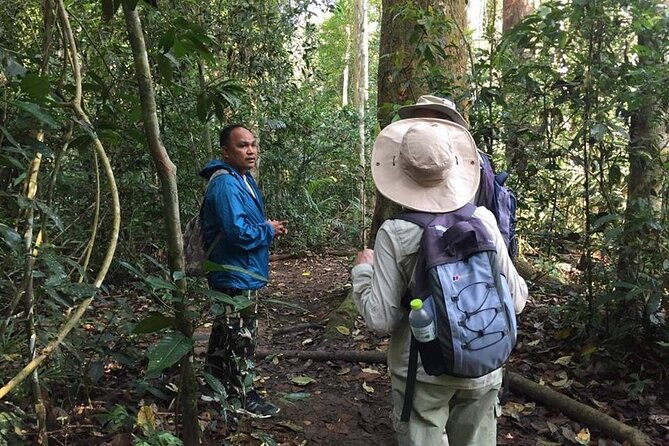 Bangkok Plus Ayutthaya and Khao Yai​ (Private​ 4​ Days)​ - Itinerary Highlights