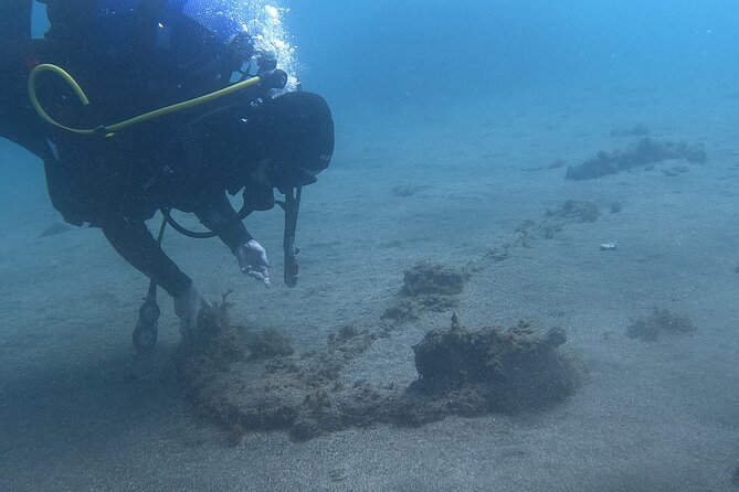 Baptism of Scuba Diving in a Shipwreck on Terceira Island - Location and Meeting Points