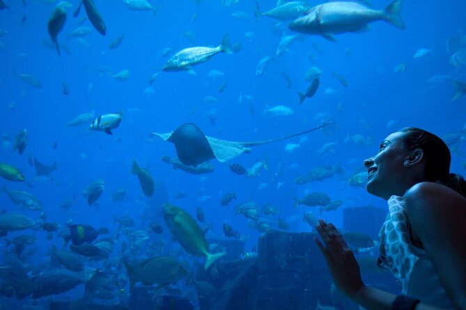 Barcelona City Tour Hop-On Hop-Off and Aquarium - Exploring Barcelona at Your Pace