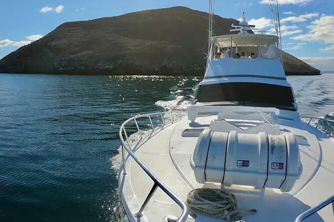 Bartolome Island Day Trip With Snorkeling From Puerto Ayora - Tour Highlights