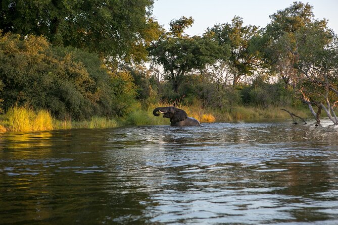 Batoka Africa Sunset Cruise - Cruising at Sunset