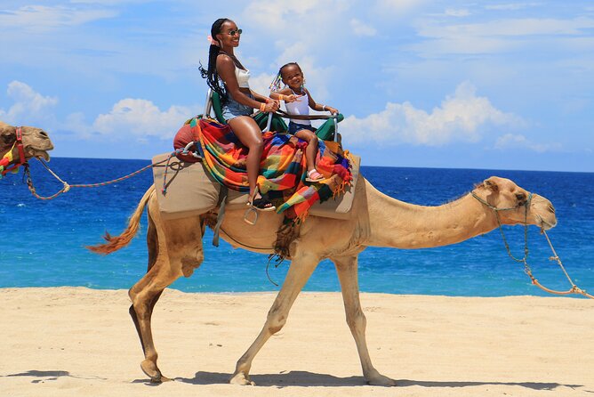 Beach ATV & Camel Ride COMBO in Cabo by Cactus Tours Park - Meeting and Pickup