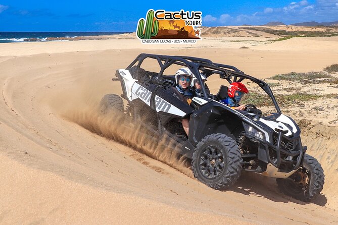 Beach & Desert UTV X3 Tour in Cabo (Price for a 4 Seater Vehicle) - Experience Highlights