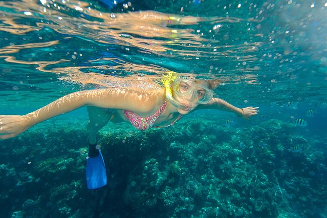 Beach Hopper Small-Group Snorkeling Tour in Los Cabos - Inclusions