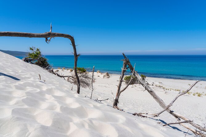 Beach Tour Porto Pino and Piscinnì - Meeting and Pickup