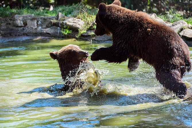 Bears Sanctuary & Dracula Castle - Tickets Included - Inclusions