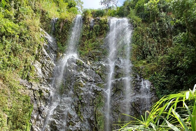 Beautiful Forest Hike to a Gorgeous Waterfall - Meeting and Pickup Details