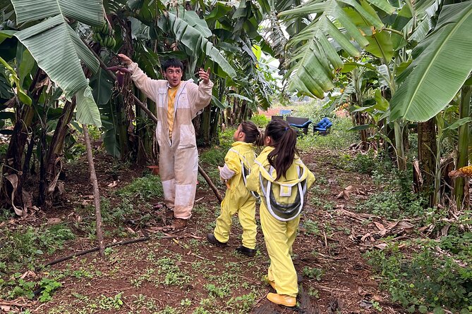 Bee Farm Ecotour and Honey Tasting in Waialua, North Shore Oahu - Meeting Point and Arrival Instructions