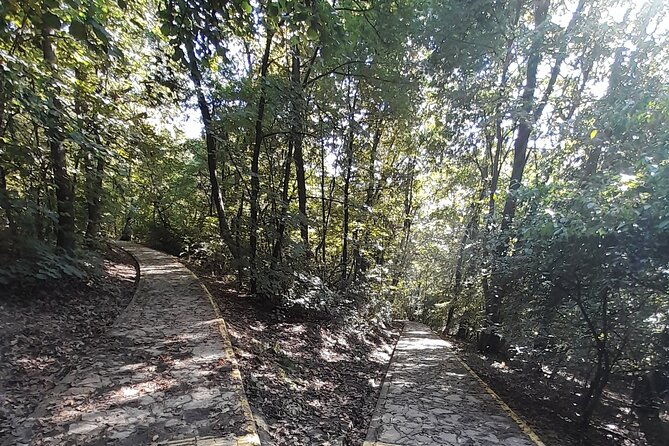 Belgrade Hiking Tour On Mountain Avala - Highlights of the Hike