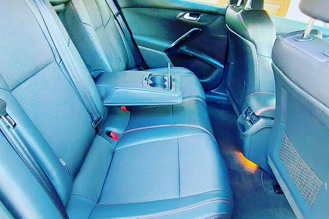 Belgrade to Kopaonik Private Taxi Transfer (City or the Airport) - Pickup and Drop-off Information