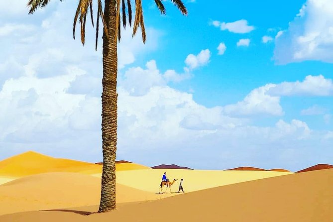 Best Casablanca Desert Trips - Camel Trekking Experience